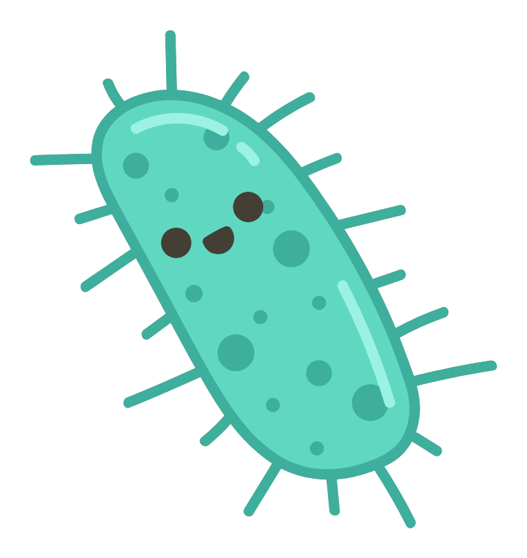Bacteria